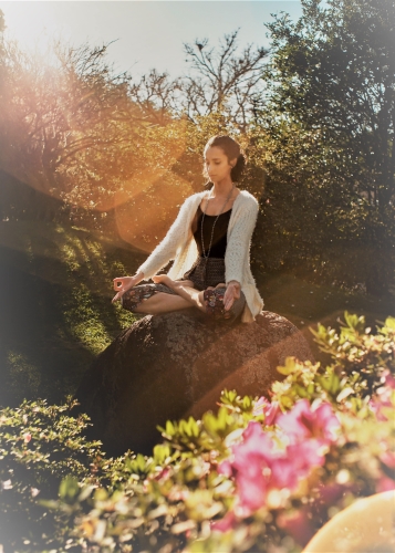 Medical Degree Course